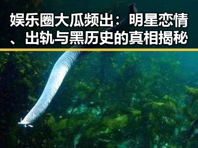 吃瓜入口