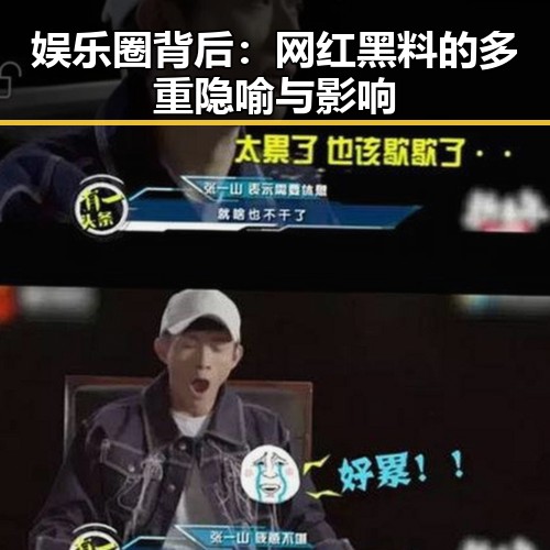 娱乐圈背后:网红黑料的多重隐喻与影响