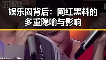 娱乐圈背后:网红黑料的多重隐喻与影响