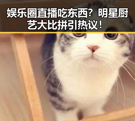吃瓜入口